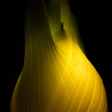 ”Lumina Lăuntrică” - un proiect inedit realizat de fotograful Radu Zaciu